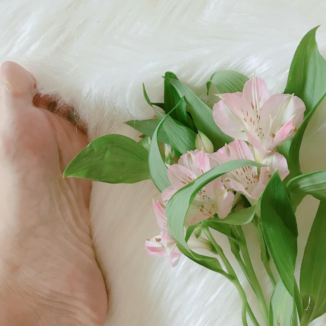 安乔乔 NO.006 学姐来了 [124P+223M]_第1集